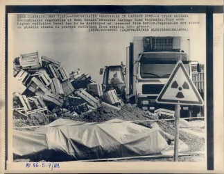 Fertőzött zöldségek